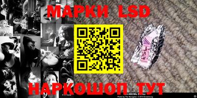 гидра Будённовск