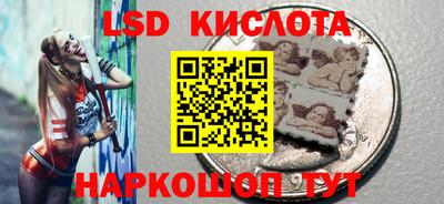 гидра Будённовск