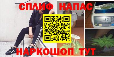 гидра Будённовск