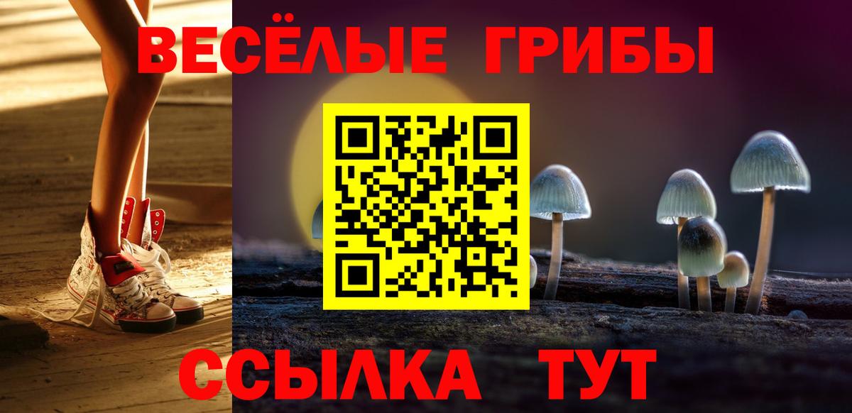 Галлюциногенные грибы мицелий  Вход с VPN  Саранск 