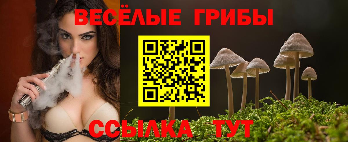 НБОМе Саранск